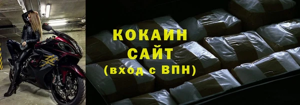 молекула духа Няндома