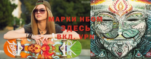 молекула духа Няндома