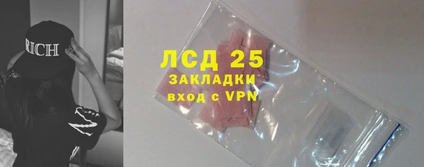 молекула духа Няндома