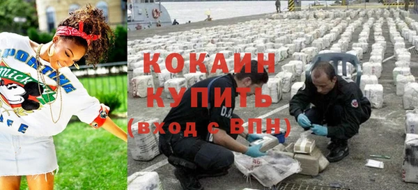 молекула духа Няндома