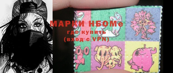 молекула духа Няндома